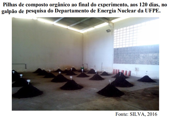 Compostagem de resíduos orgânicos pode trazer redução de custos às universidades