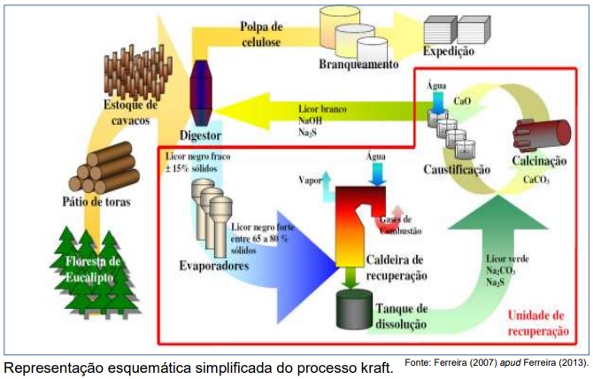 Aproveitamento de resíduos na indústria de papel e celulose estimula a circularidade