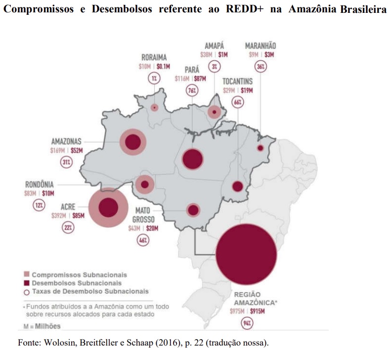 Créditos de carbono gerados por projetos REDD+ preservam a Amazônia e elevam desenvolvimento social