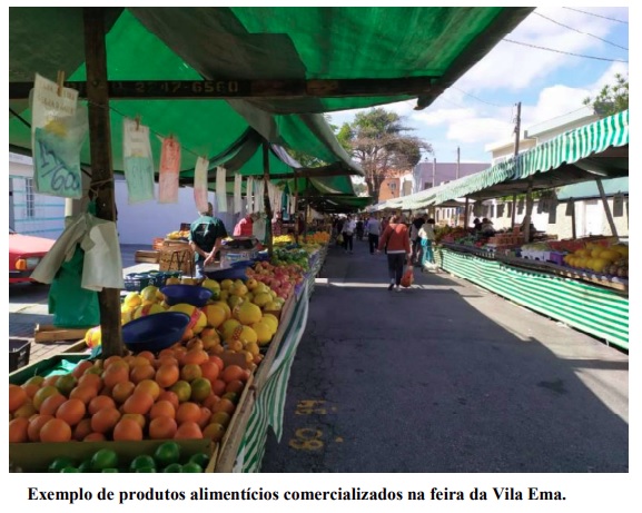 Compostagem descentralizada como alternativa para o tratamento de resíduos orgânicos